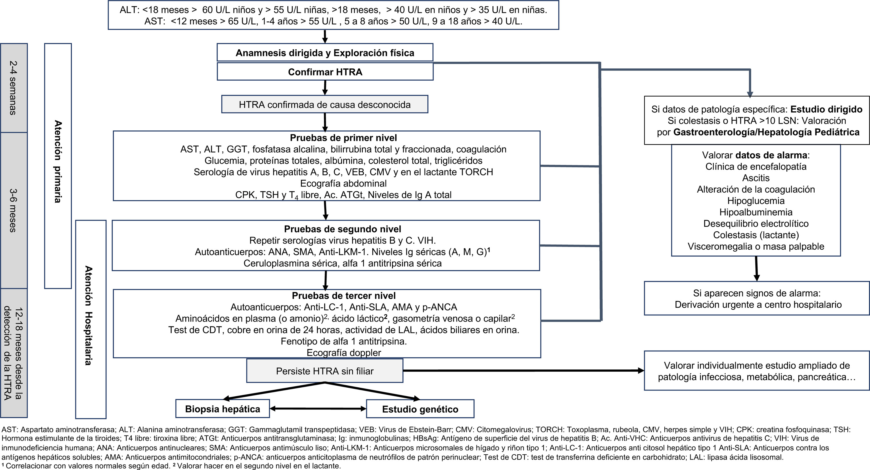 AELALD_Algoritmo_Hipertransaminasemia